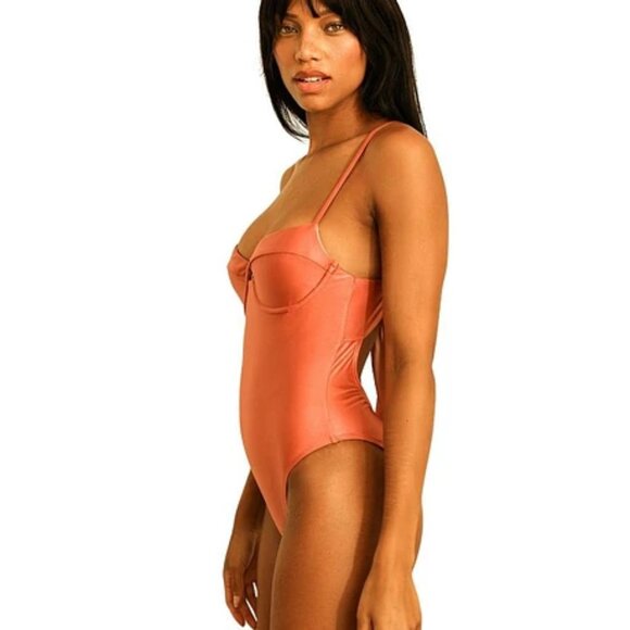 Dippin' Daisy's Saltwater Thigh High Swim One Piece Dusty Rose Size S | NWOT - Picture 3 of 4